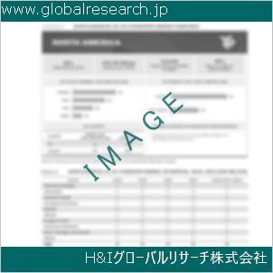 グローバルリサーチ調査資料のイメージ